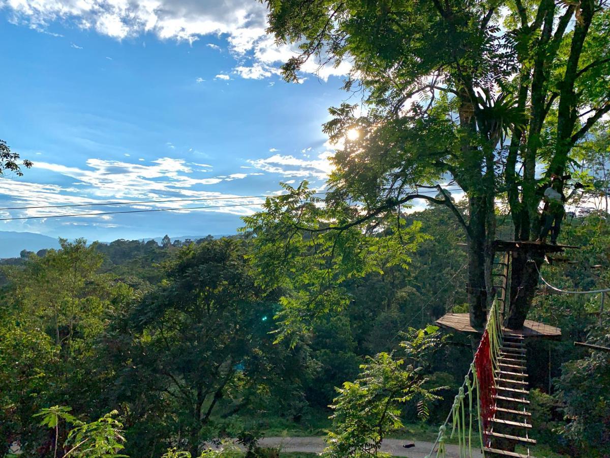 Hotel Refugio Del Bosque Glamping La Mesa  Exterior foto